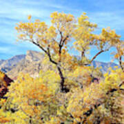 Autumn At Red Rock Art Print