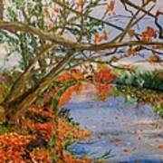 Autumn By The River Art Print