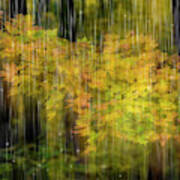 Autumn Rain Art Print