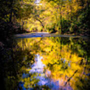 Autumn Reflections Art Print