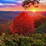 Autumn Splendor At Artist Point - Mountainburg Arkansas Art Print