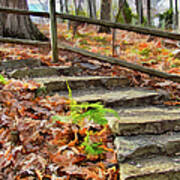 Autumn Steps Art Print