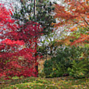 Autumn Time In Japanese Garden 5 Art Print