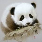 Baby Panda With Bamboo Leaves Art Print