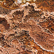 Bacterial Mat Close-up Art Print