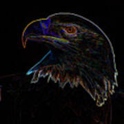 Bald Eagle Digital Art Art Print