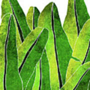 Banana Leaf - Green, Yellow, Olive- Tropical Leaf Print - Botanical Art - Modern  Abstract Poster by Studio Grafiikka - Fine Art America