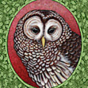 Barred Owl Portrait - Green Border Art Print