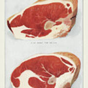 Beef: Bone Top Sirloin Art Print