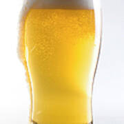 Beer Glass Wclipping Path Art Print