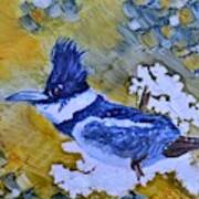 Belted Kingfisher Art Print