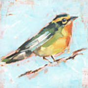 Bird Variety Iv Art Print