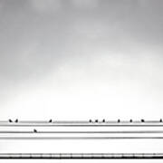 Birds On A Midwood Wire Art Print