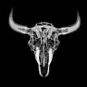 Bison Skull X-ray 01bw Art Print