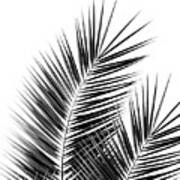 Black Palm Leaves Dream - Cali Summer Vibes #1 #tropical #decor #art Art Print