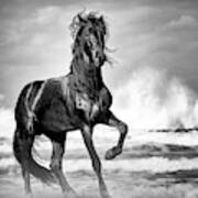 Black Stallion On Beach Art Print