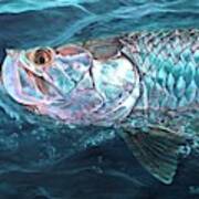 Blue Water Tarpon Art Print