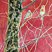 Bluebirds In Early Spring Art Print