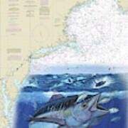 Bluefin Tuna Chart Art Print
