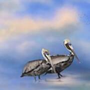 Brown Pelicans At The Shore Art Print