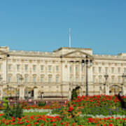 Buckingham Palace, London Art Print