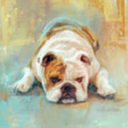Bulldog With The Blues Art Print