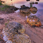 Bush Bay Limestone At Dawn Michigan Sl9255 Art Print