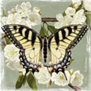 Butterfly Branch Ii Art Print