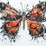 Butterfly Study I Art Print