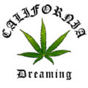 California Green Cannabis Pot Leaf, California Dreaming Original, California Streetwear Art Print