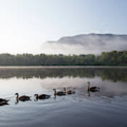 Canada Geese On Kam River Art Print