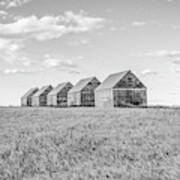 Canadian Prairies Art Print