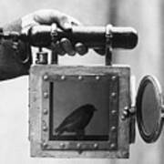 Canary Used For Detecting Gas In Mines Art Print