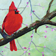 Cardinal On Branch Art Print