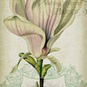 Cartouche & Floral I Art Print