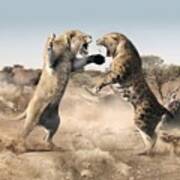 Cave Lion And Sabre-tooth Cat Fighting Art Print