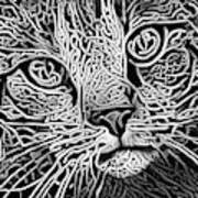 Celtic Knot Tabby Cat - Black And White Version Art Print