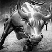 Charging Bull Wall Street Black And White Art Print