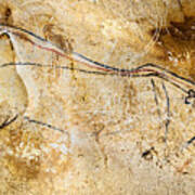 Chauvet Cave Lions Courting Art Print