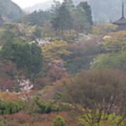 Cherry Blossom With Kiyomizudera Temple Art Print