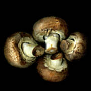 Chestnut Mushrooms Art Print