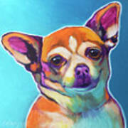 Chihuahua - Starr Art Print
