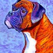 Devoted Guardian - Colorful Brindle Boxer Dog Art Print