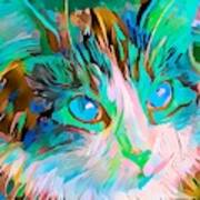 Colorful Cat Face Abstract Blue Eyes Art Print