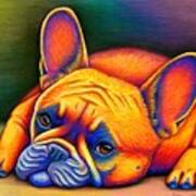 Daydreamer - Colorful French Bulldog Art Print
