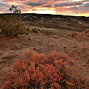 Colorful Sunset And Bush In Bentonite Site Art Print