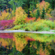 Colorful World On Cascade Meadow Art Print