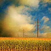 Corn Field At Sunrise Art Print