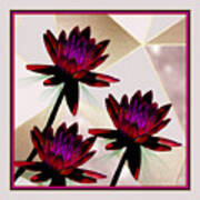 Cranberry Water Lilies Art Print