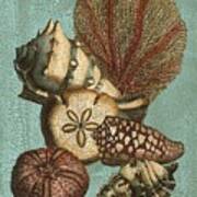 Crkld Shell & Coral On Aqua Ii Art Print
